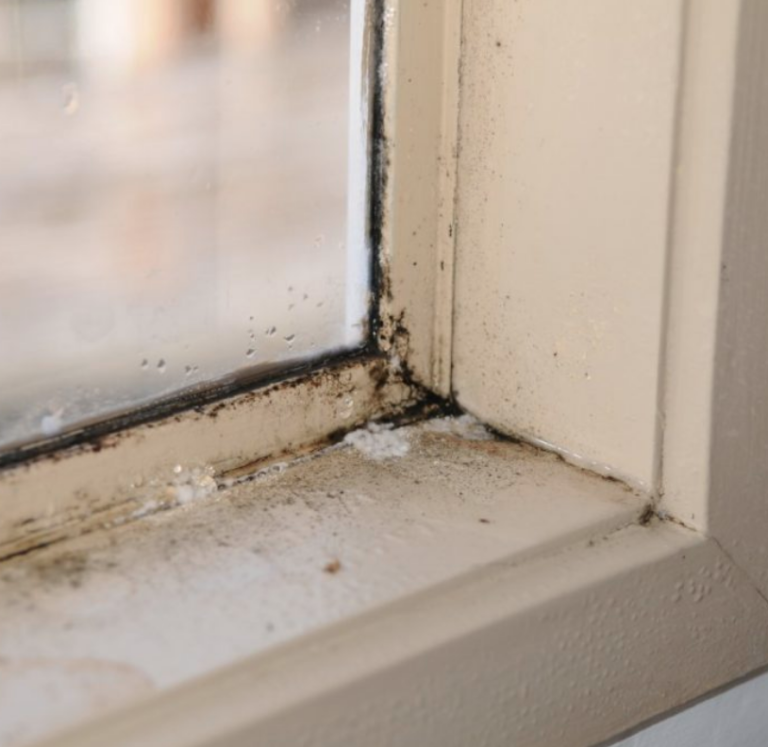 How to get rid of mould on window sealant ( Without calling a glazer